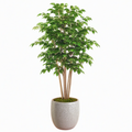 Plante artificielle ficus 180 cm vert avec pot en ciment pour intérieur