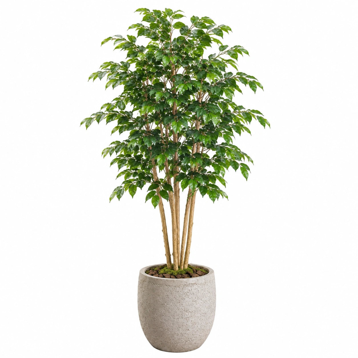 Plante artificielle ficus 180 cm vert avec pot en ciment pour intérieur