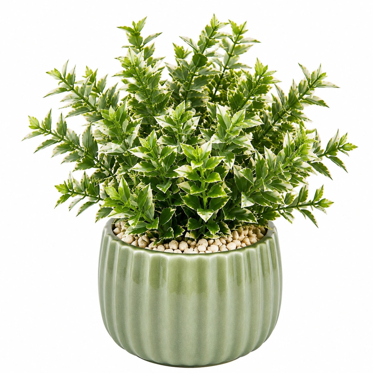 Plante artificielle en pot 38 cm feuillage vert et blanc en plastique décoratif