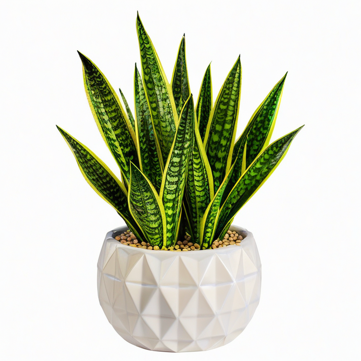 Plante artificielle Sansevieria 70 cm en plastique vert et jaune avec pot décoratif intérieur