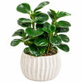 Plante verte artificielle 48 cm en plastique vert avec pot en céramique blanche décoration intérieure