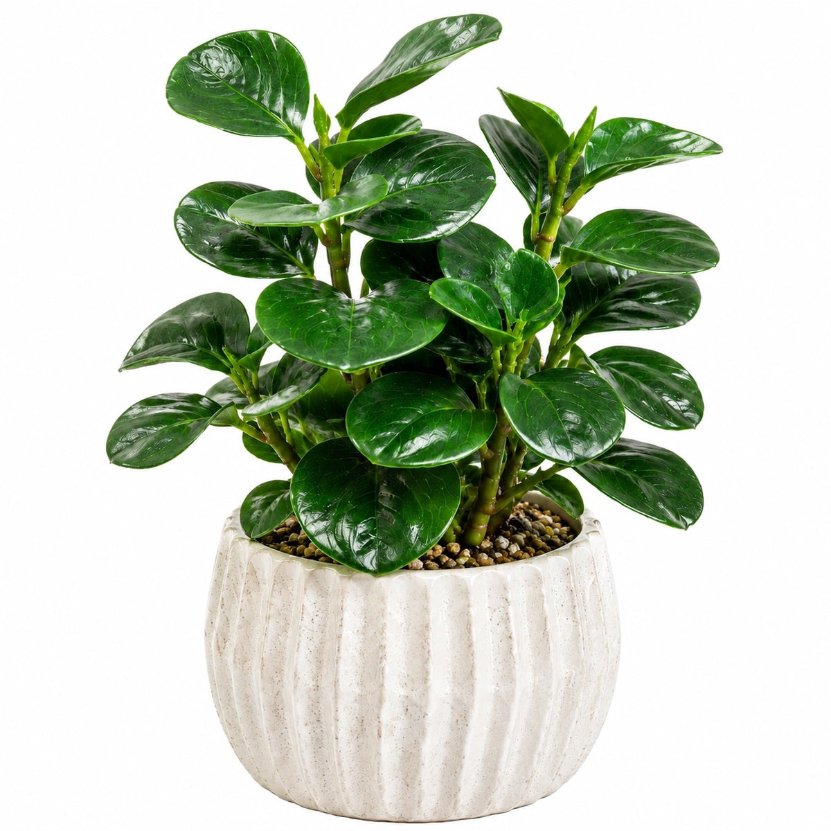 Plante verte artificielle 48 cm en plastique vert avec pot en céramique blanche décoration intérieure